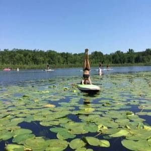 Meet your Posher, Suzanne